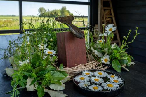 Beleef-Zonnemaire-Kunst-en-Tuinen-27-mei-2023-web-118