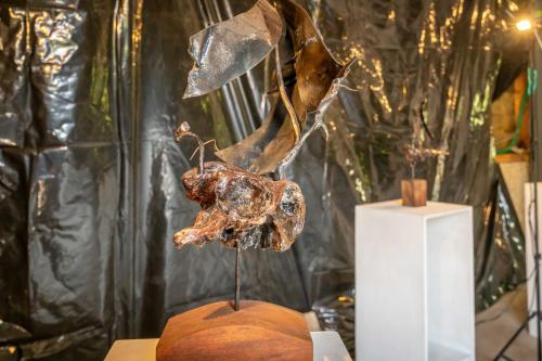 Beleef-Zonnemaire-Kunst-en-Tuinen-27-mei-2023-web-133
